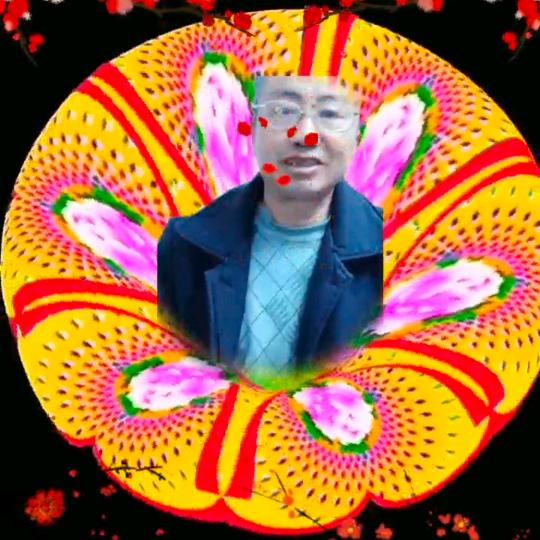 老来欢