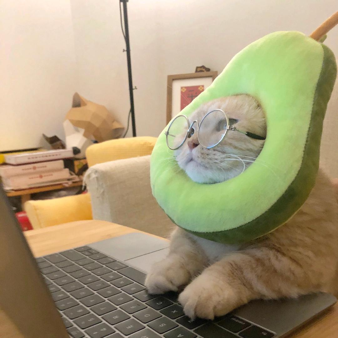 林冬冬