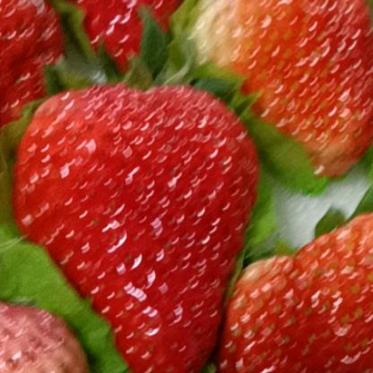 草莓