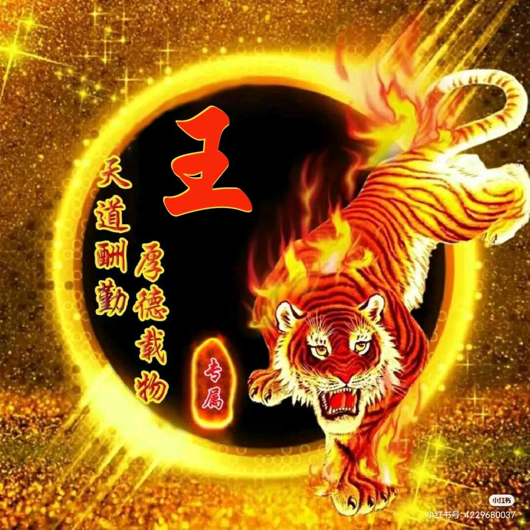 豫N