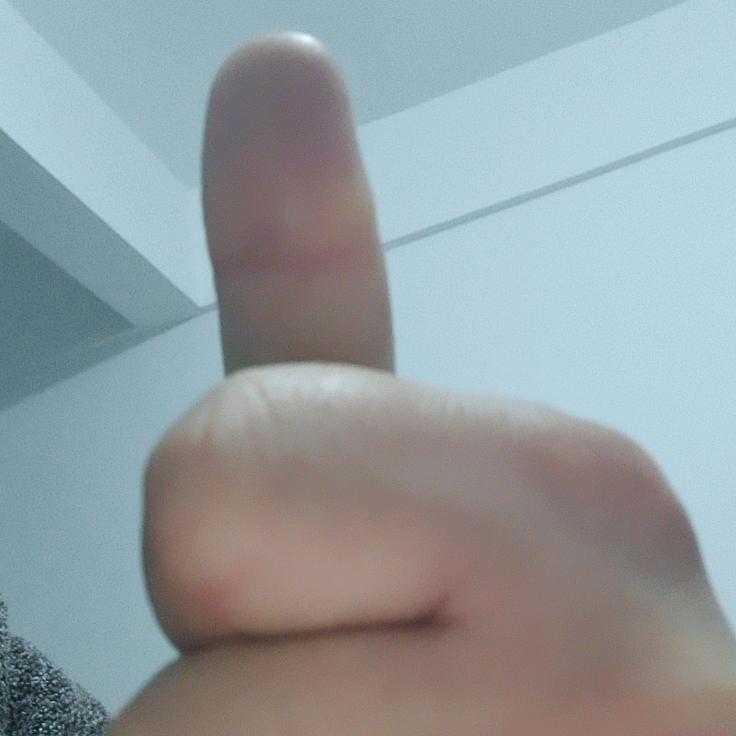 风过不留影燕走不留声