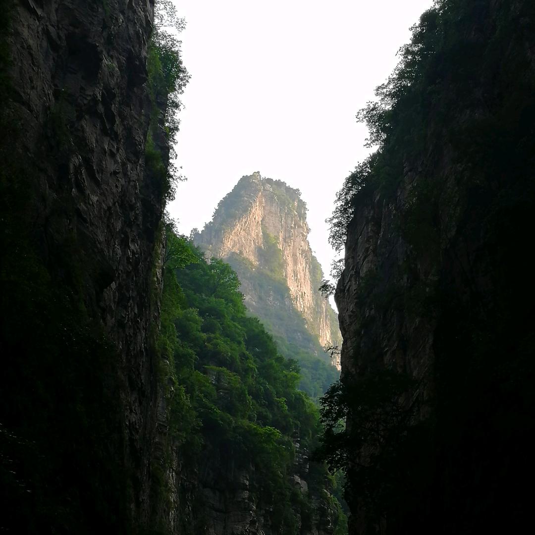 虎子