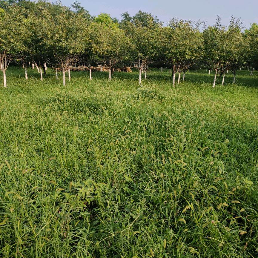 🍎🍎不忘初心♥️♥️🇨🇳