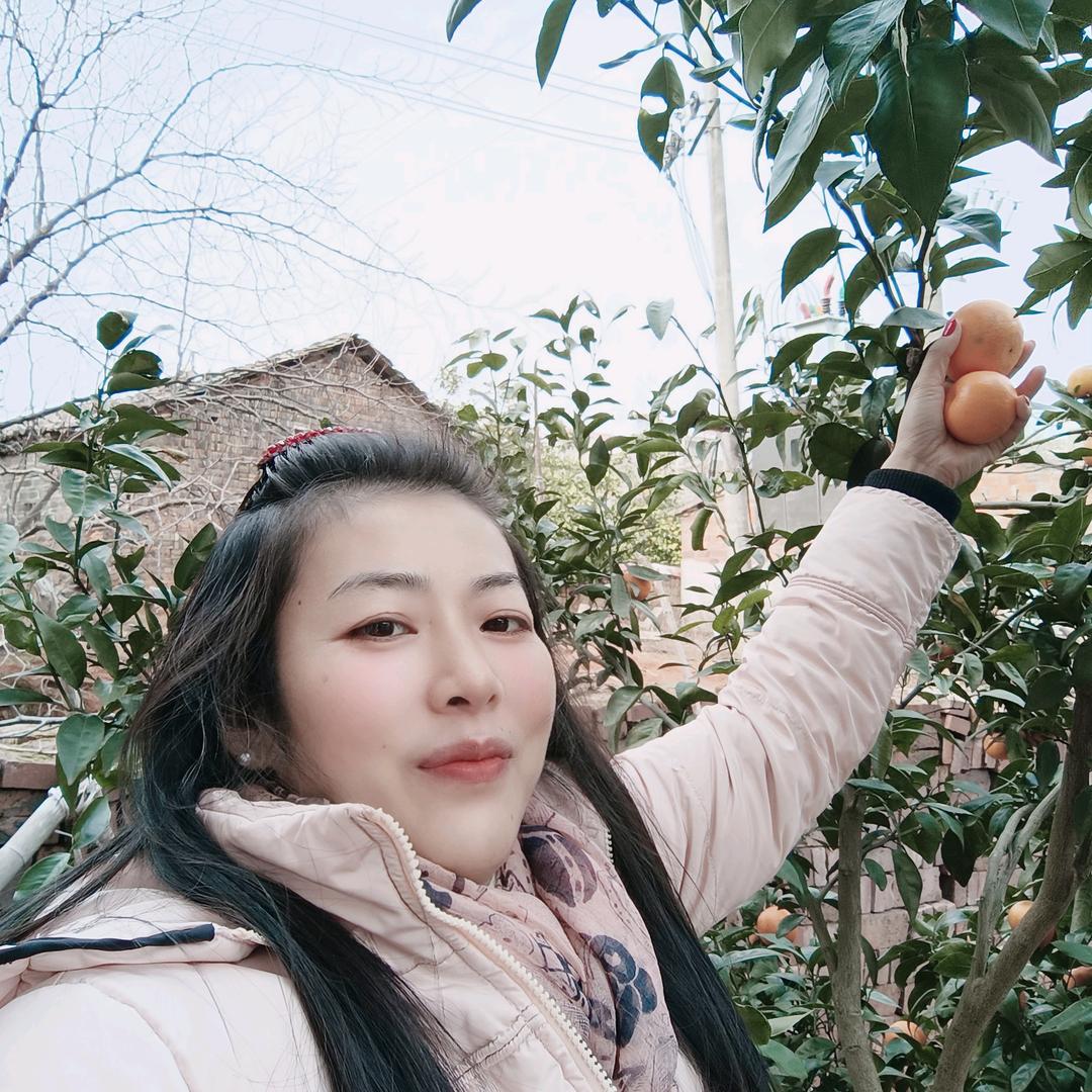 醉仙洞白酒上海代理商