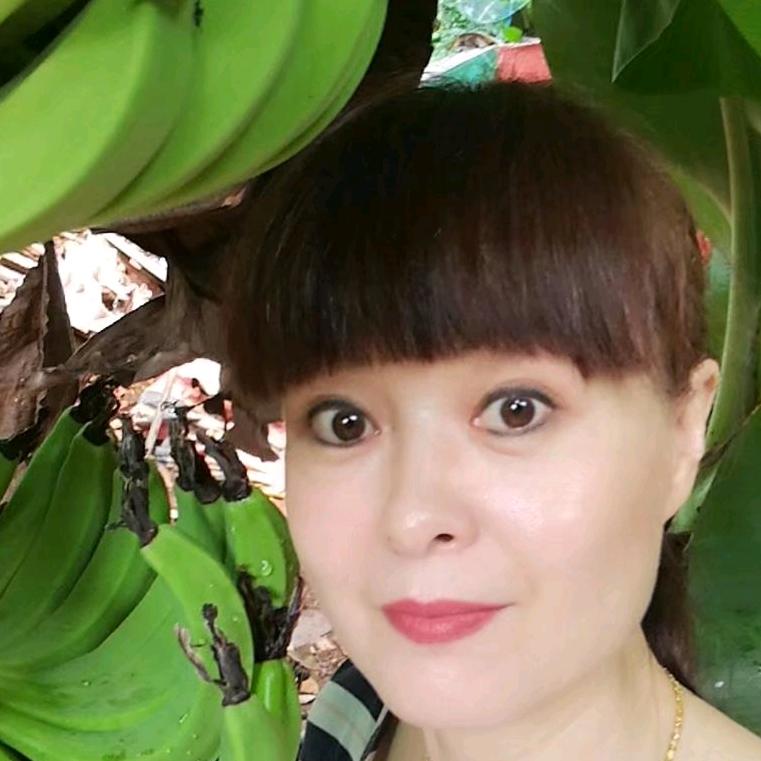 鱼儿