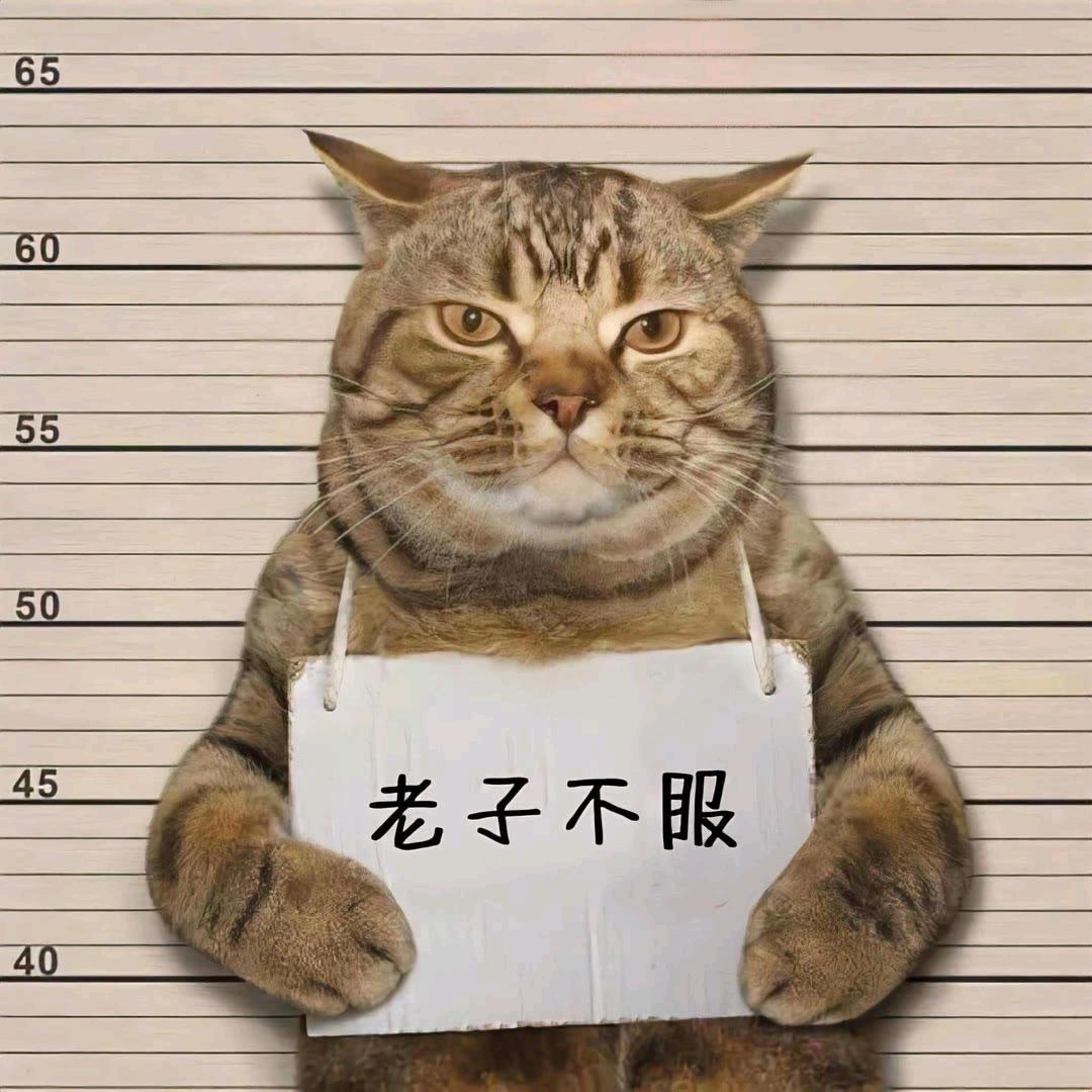 唯美滴爱情