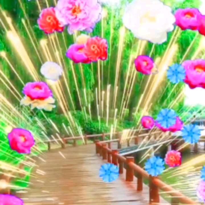 花美人醉🌺🌺🌺🌺🌺
