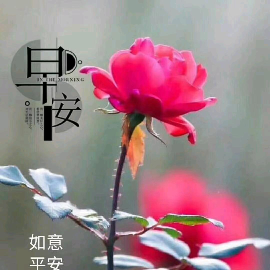 相逄是缘