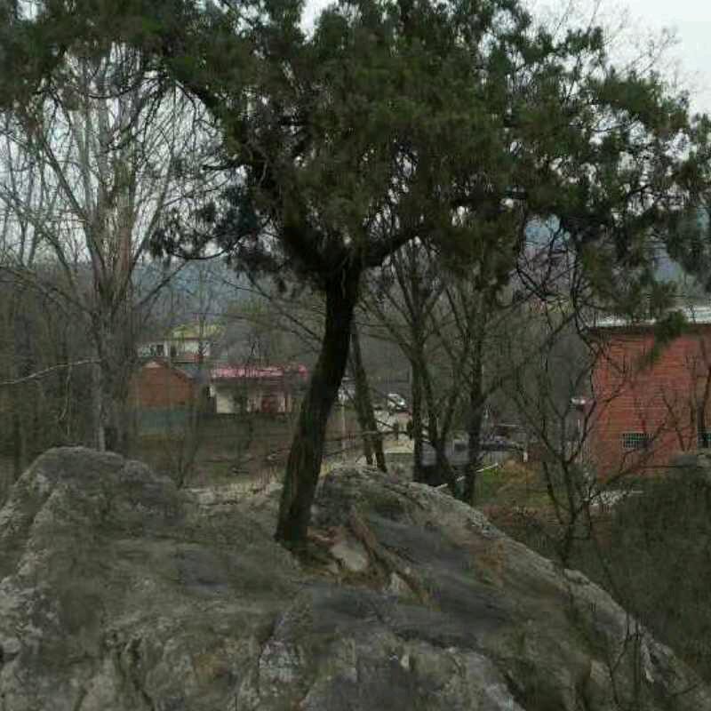 风景真好  专业安装维修空调