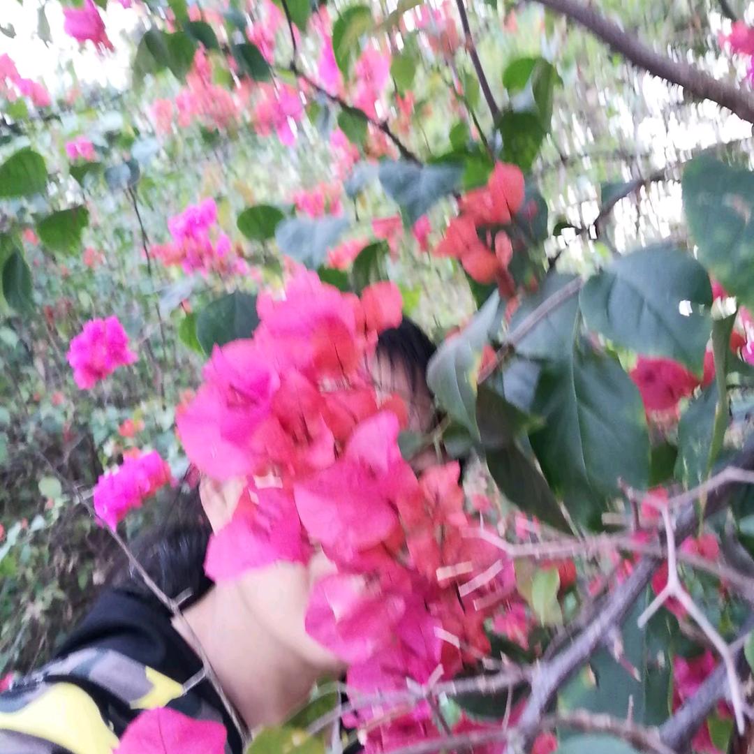 加Jia