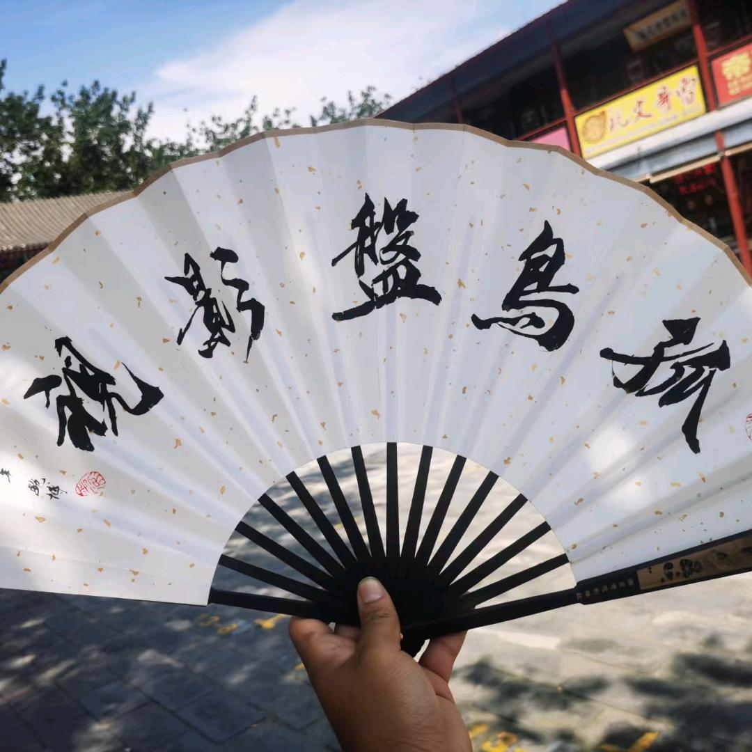 孤鸟盘影视