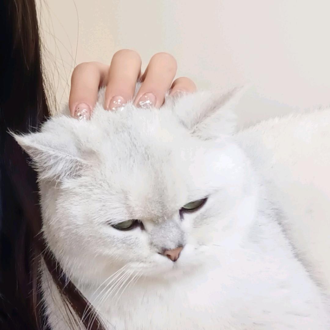 小赖不赖床