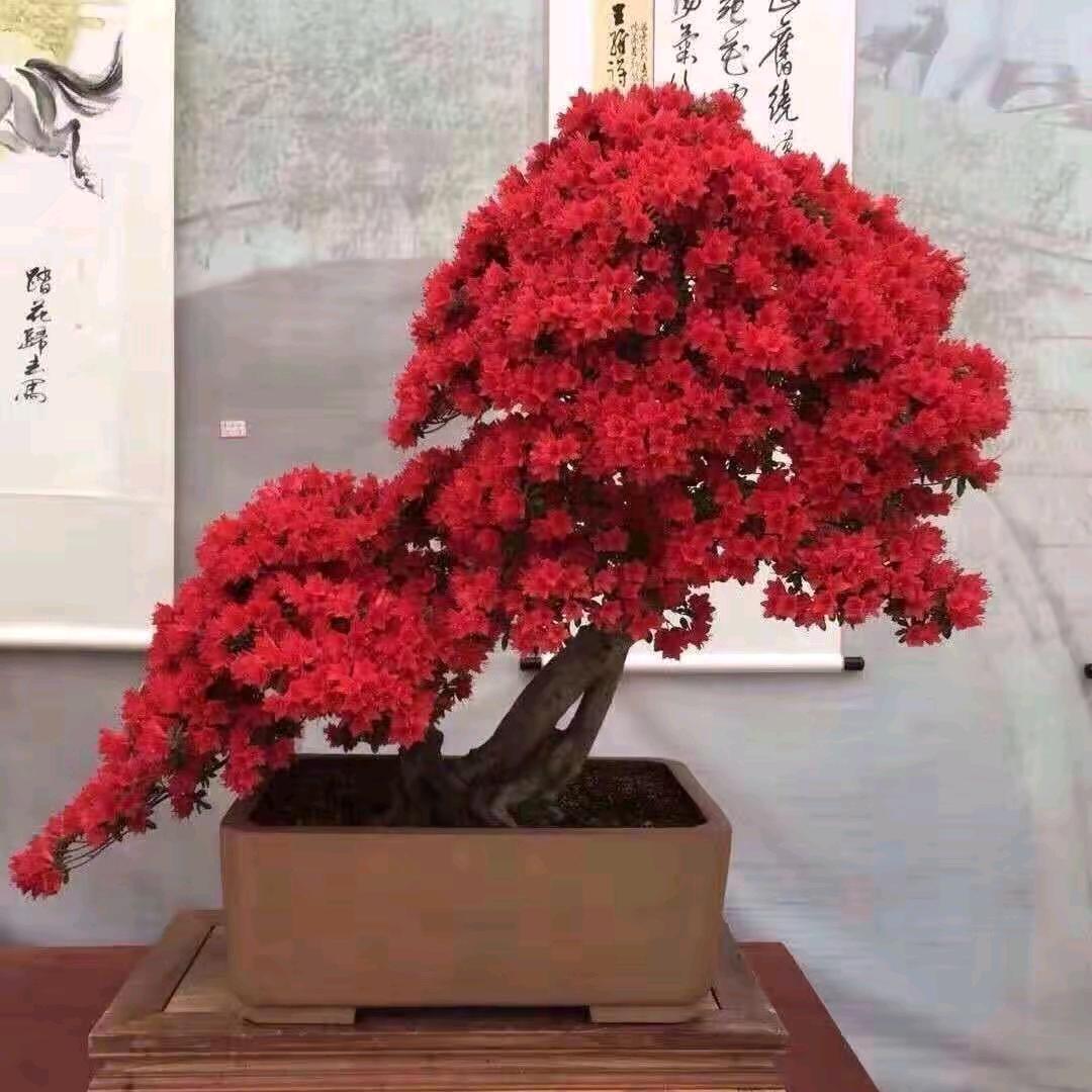 无悔