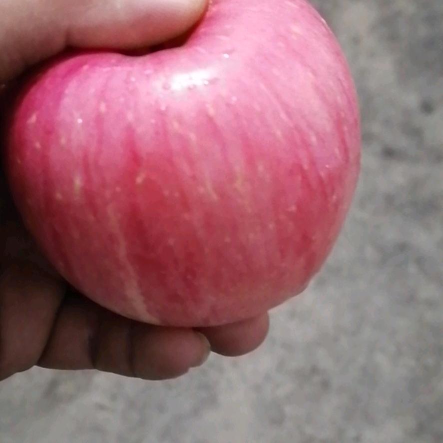 小陈（工地随手拍😁）