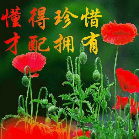懂得珍惜，才配拥有