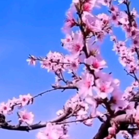 绿源