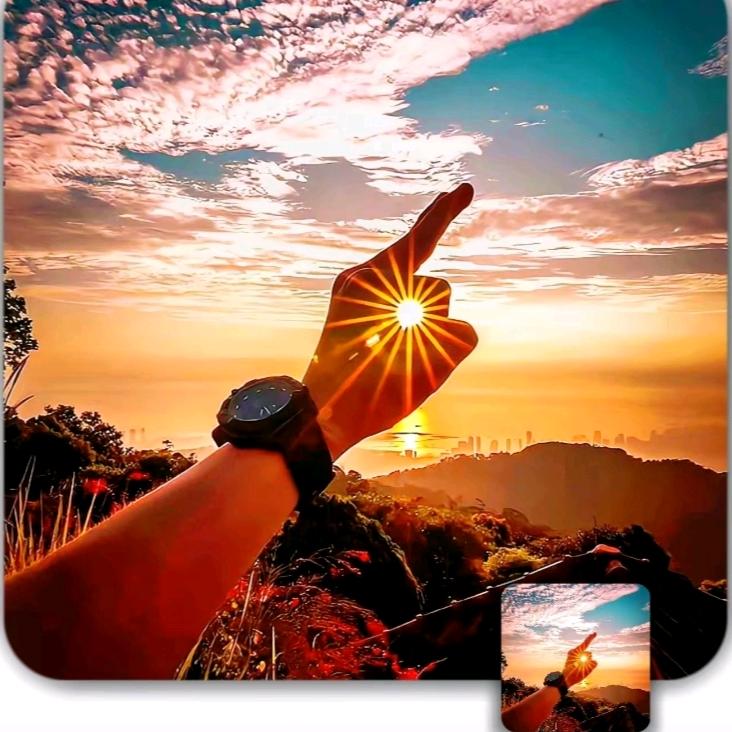 摸鱼🐠🐠🐠🐠