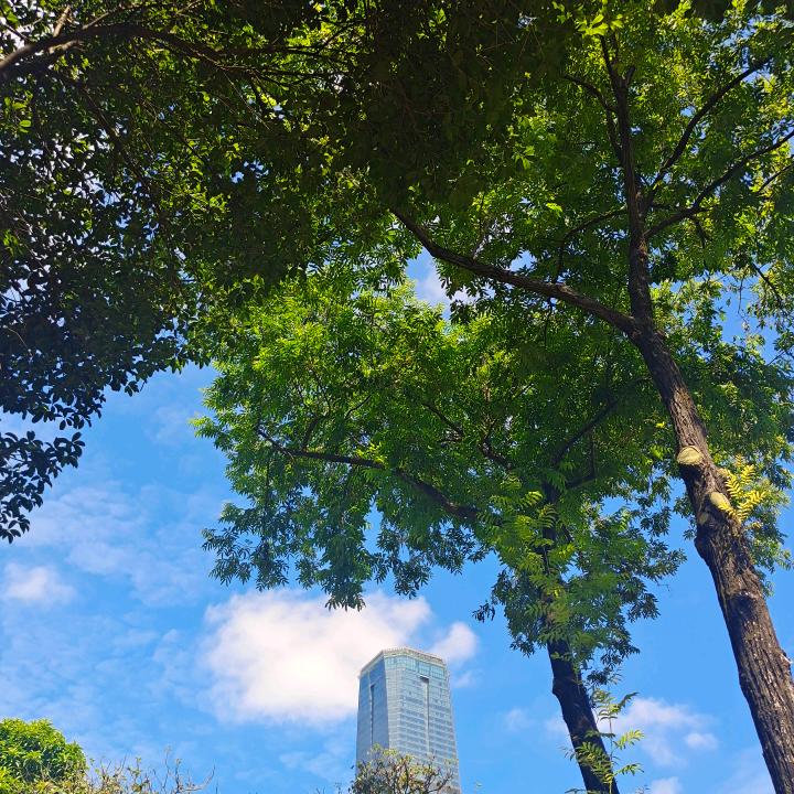 开心跳动迷迷糊糊地便过去