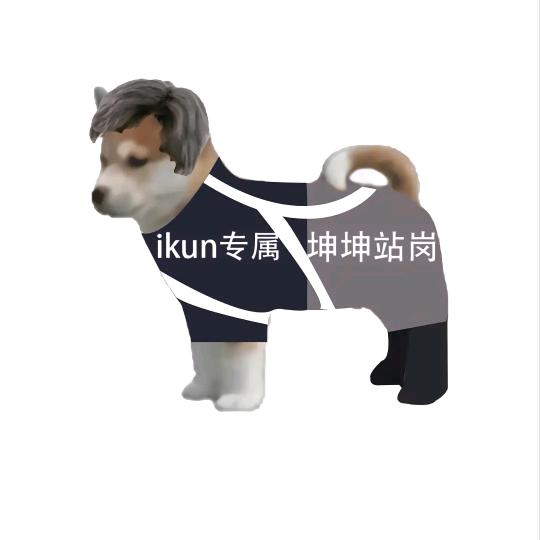 小黑子.