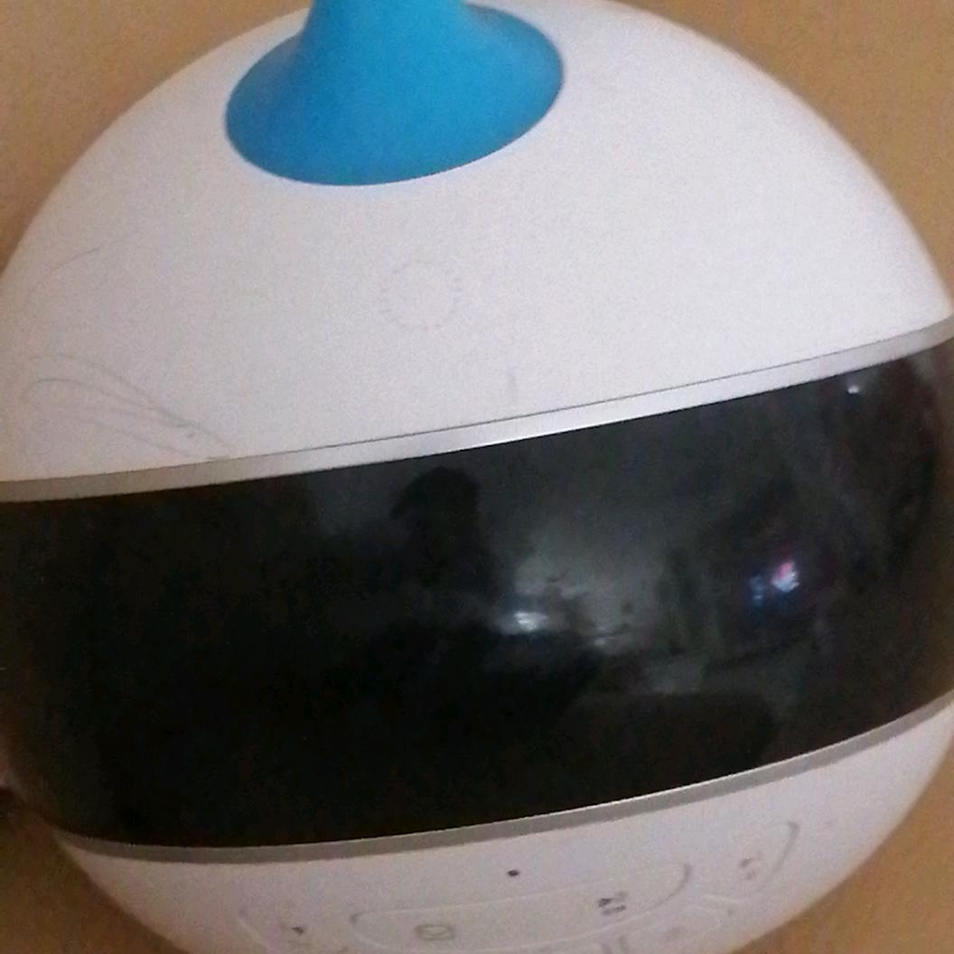 小贝