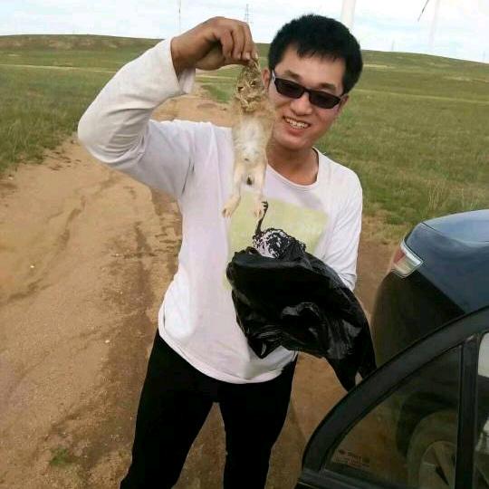 南鸢离梦
