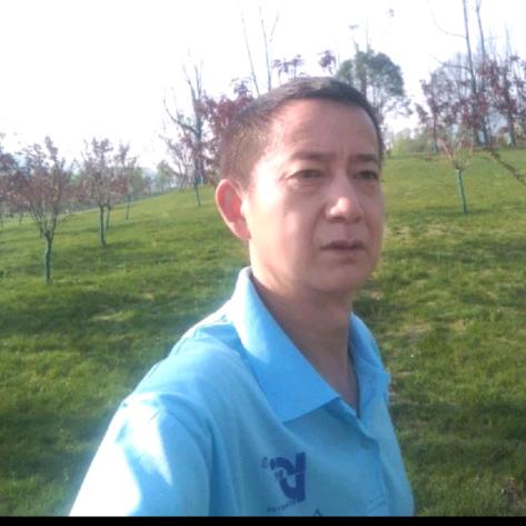 博鱼战队