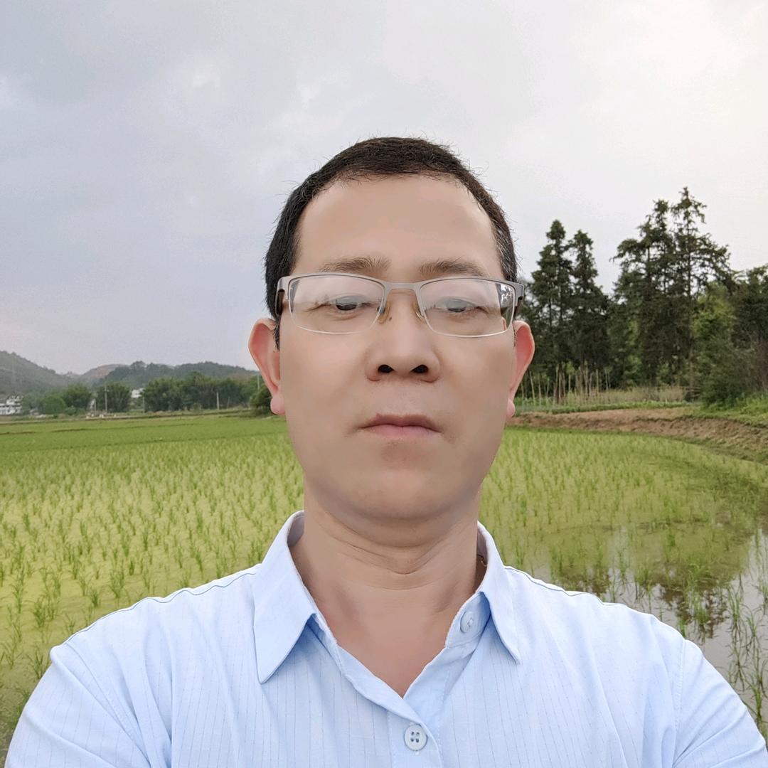 @ 飞  马