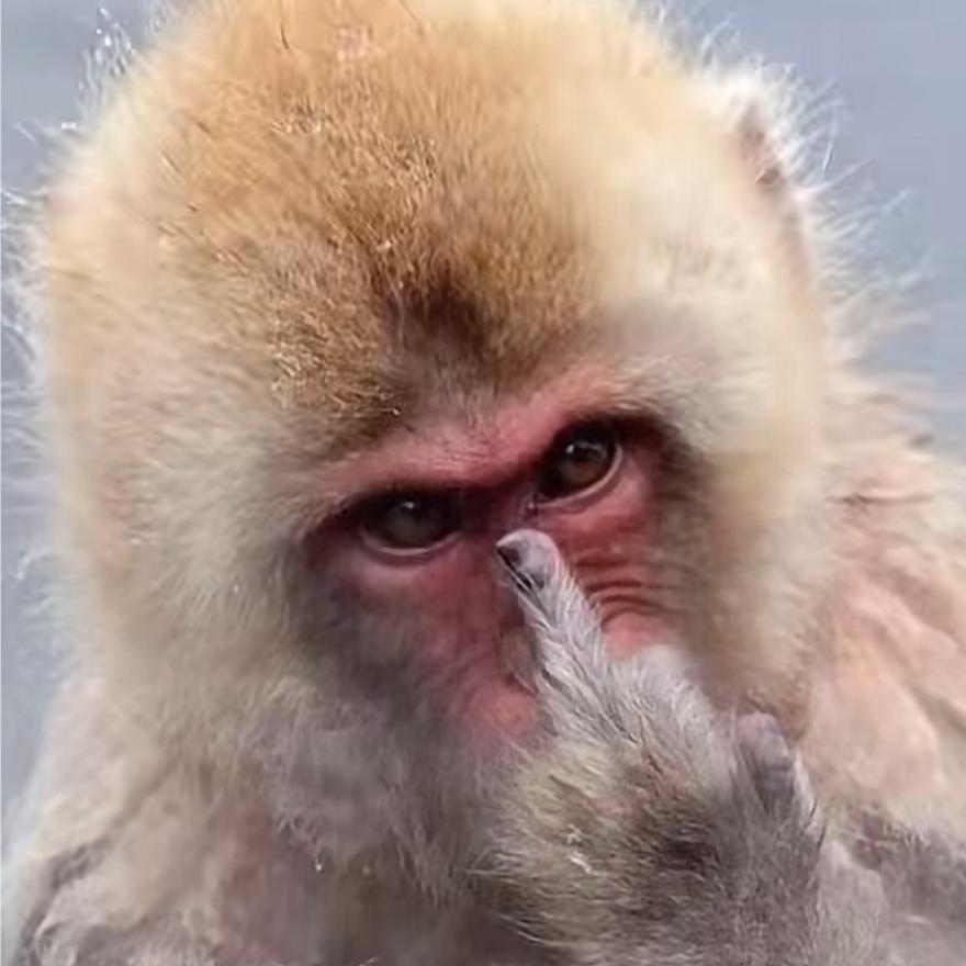 🚬ཀོ三戒之主ꦿ҉࿐