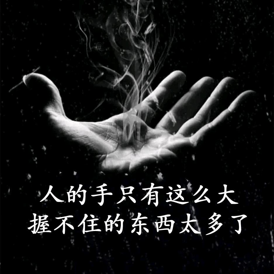 China☆狼群