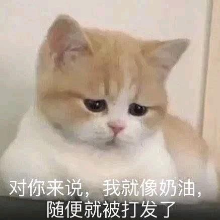 不干饭了