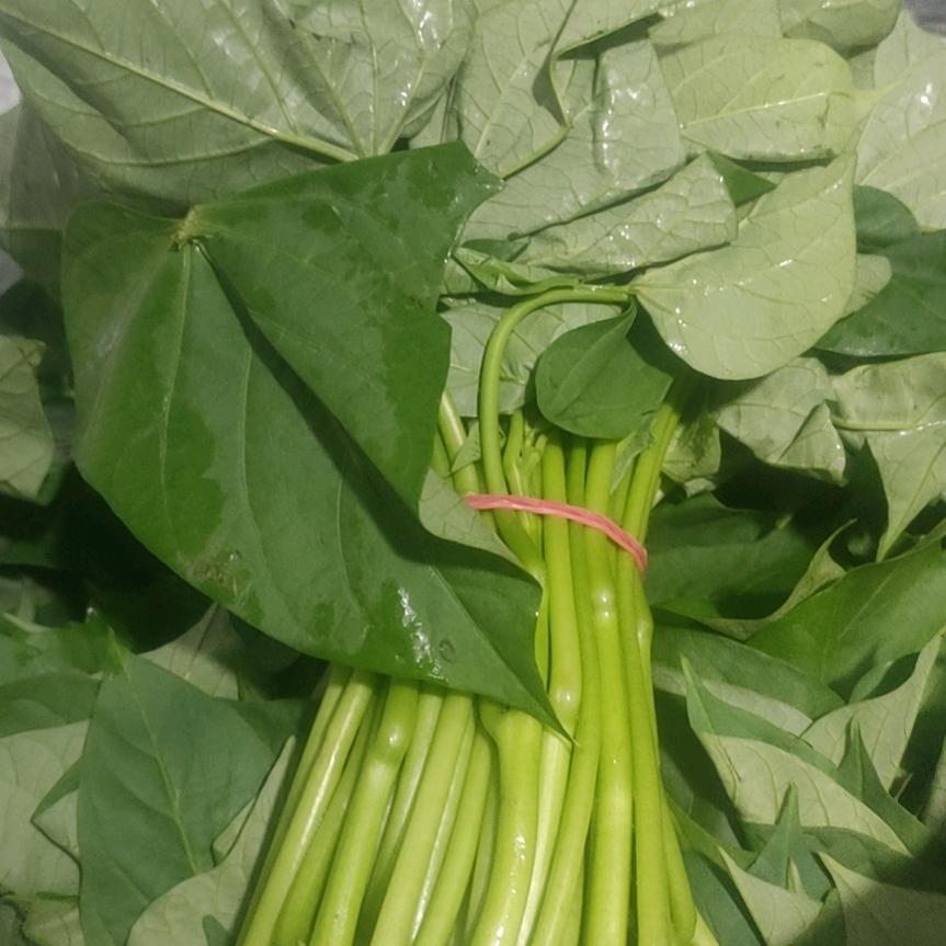 feng火