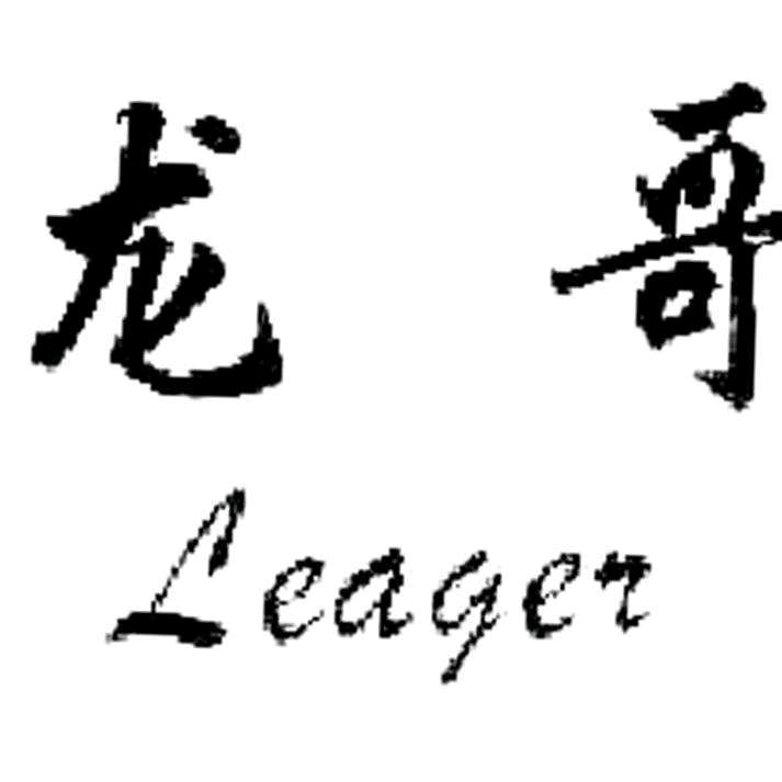 龙   哥
