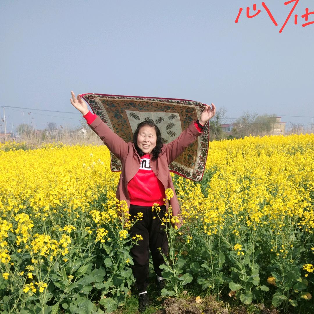 老来乐