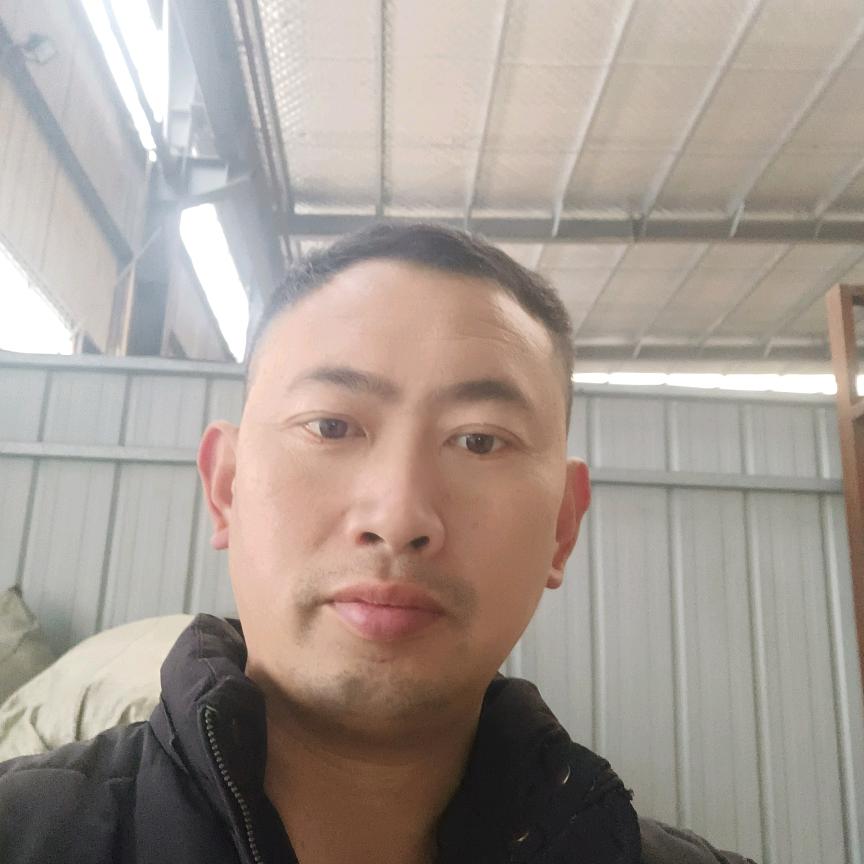 社会