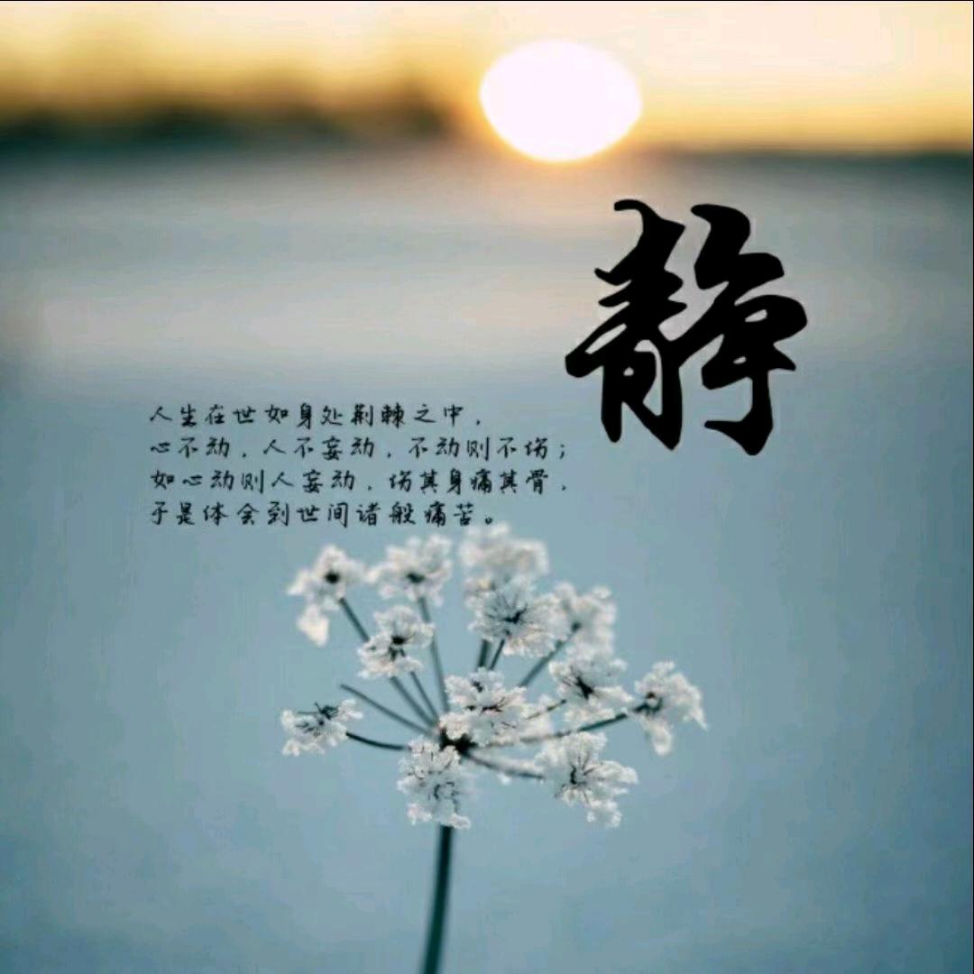 长园园🤗