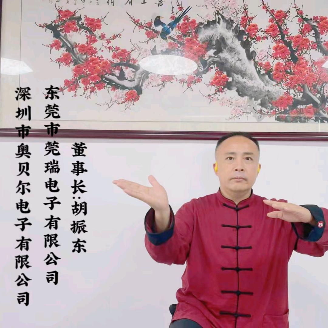 蓝牙耳机源头工厂（莞瑞东哥）