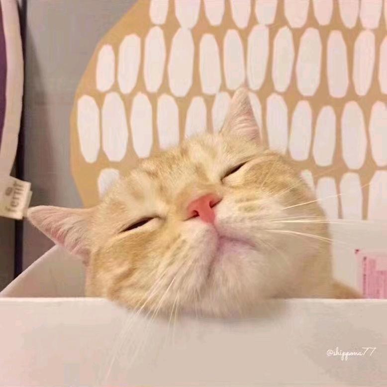 自然卷