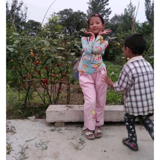 杭悦
