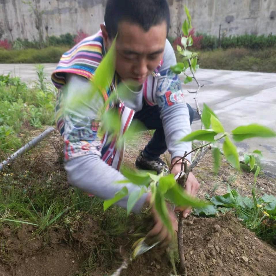 怒江游子哥
