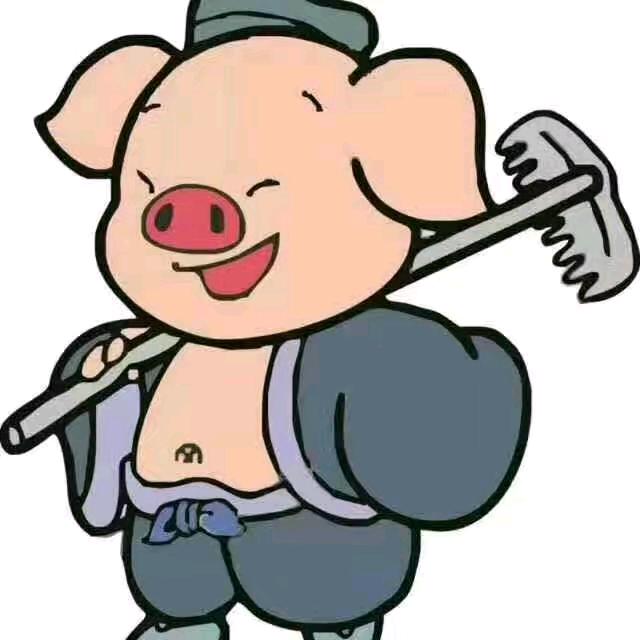 猪🐷好物