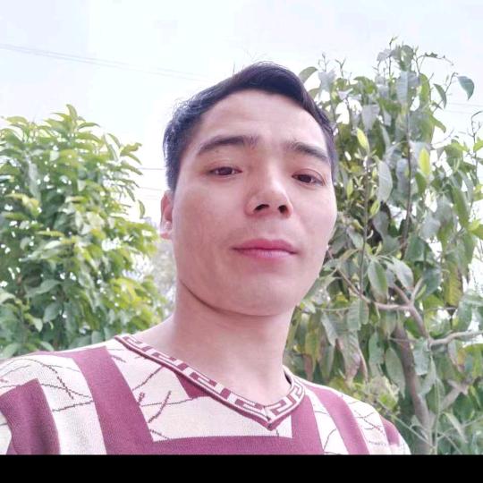 当风在起时