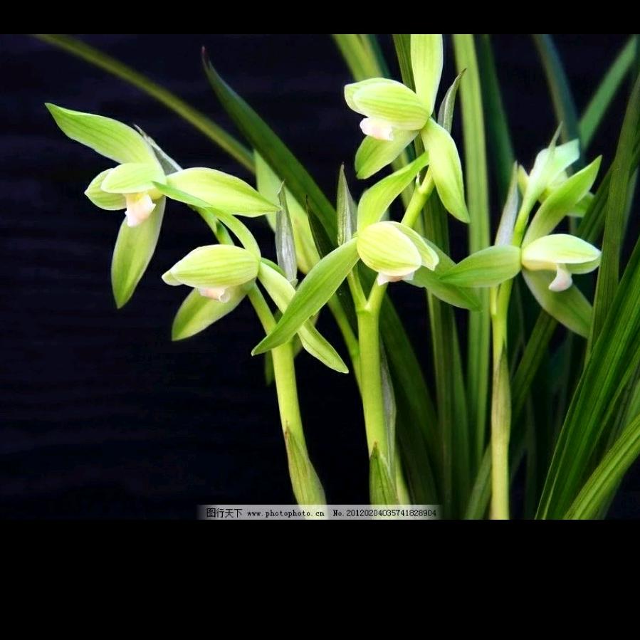 一米阳光，一世无恙