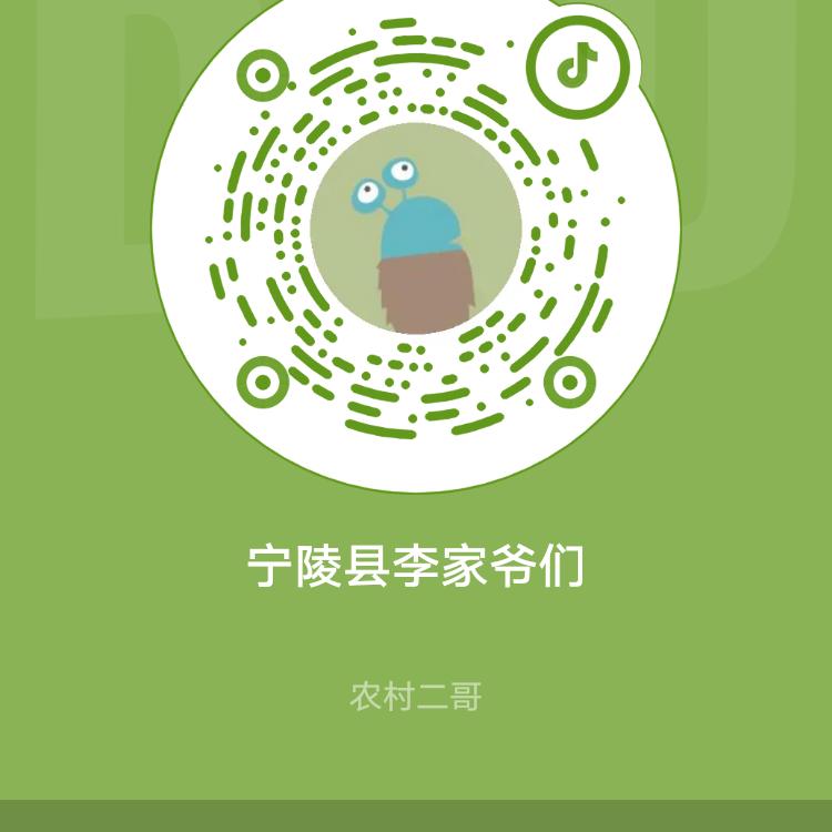 宁陵李家爷们