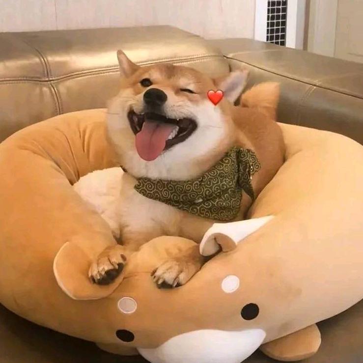 东北季姐