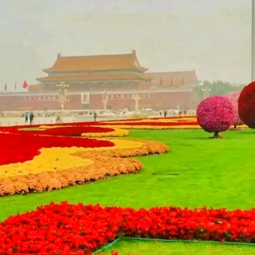 艳阳高照