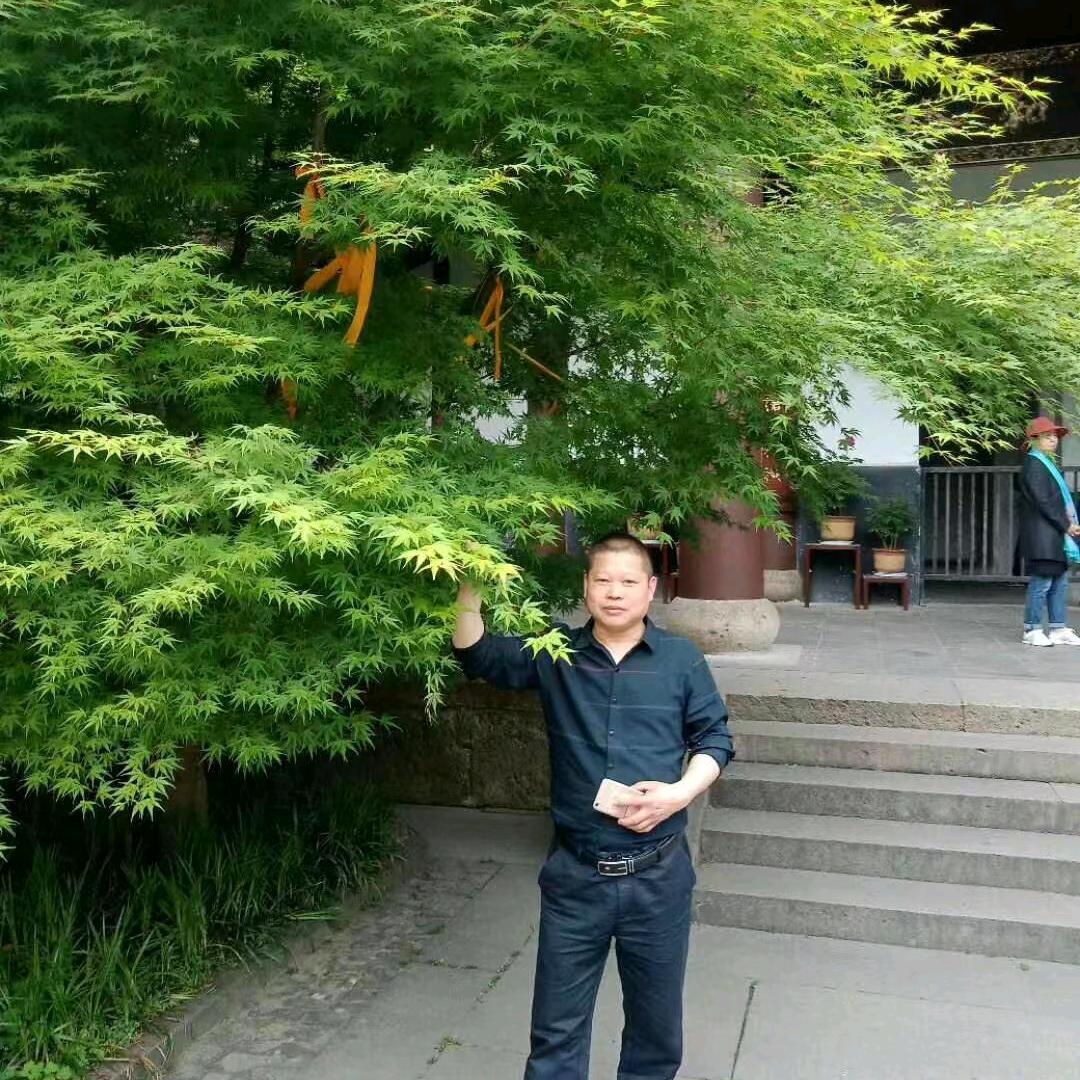 废品收购站赵飞