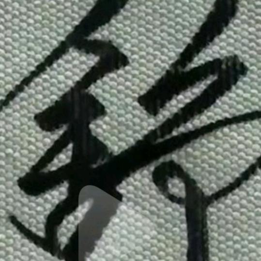 《屮艸芔茻》