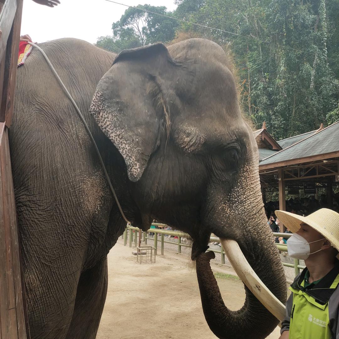 新沂安通驾驶培训有限公司ZTR