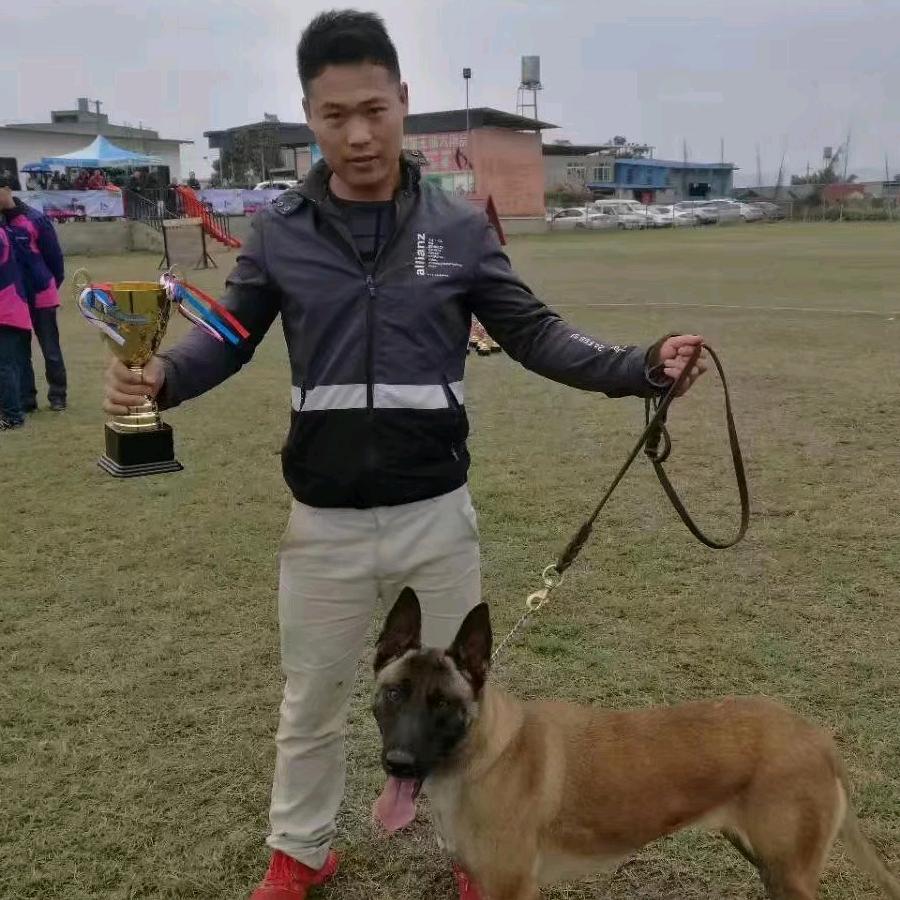 成都传奇犬舍