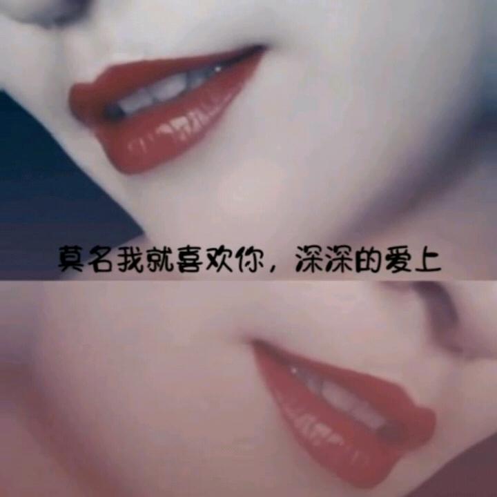 青灯古酒💋